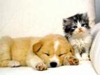 **My Blog**